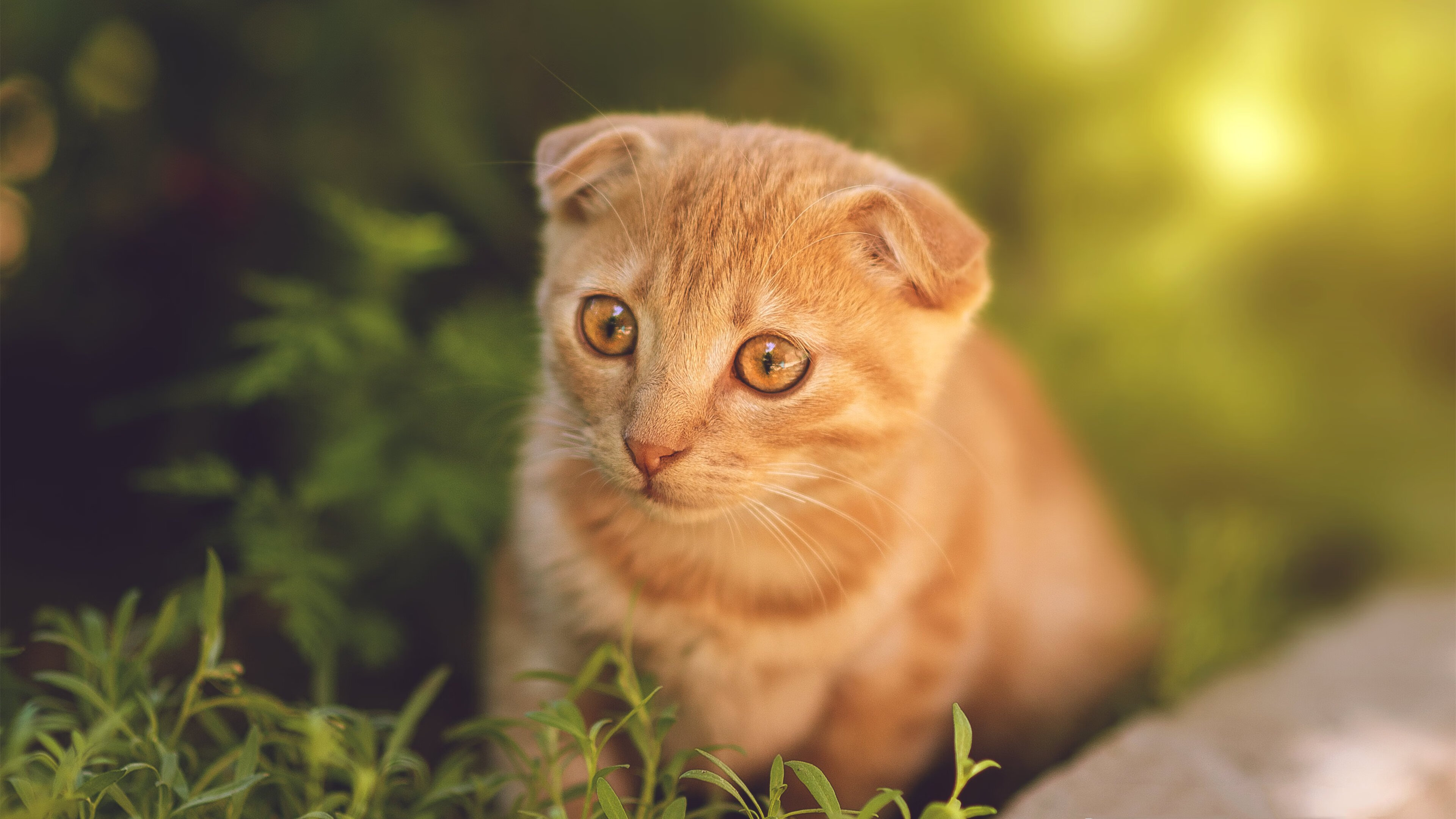 生死一瞬，布雷默的点球如何定义了足球史上最残酷的唯一性