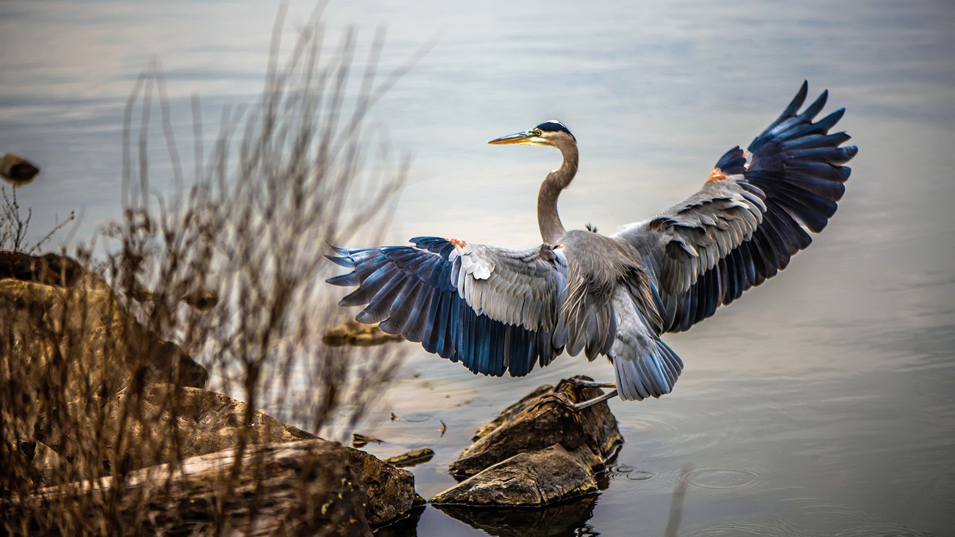 征服者的黄昏，当马竞的埃及王朝遭遇孙兴慜的君士坦丁堡陷落