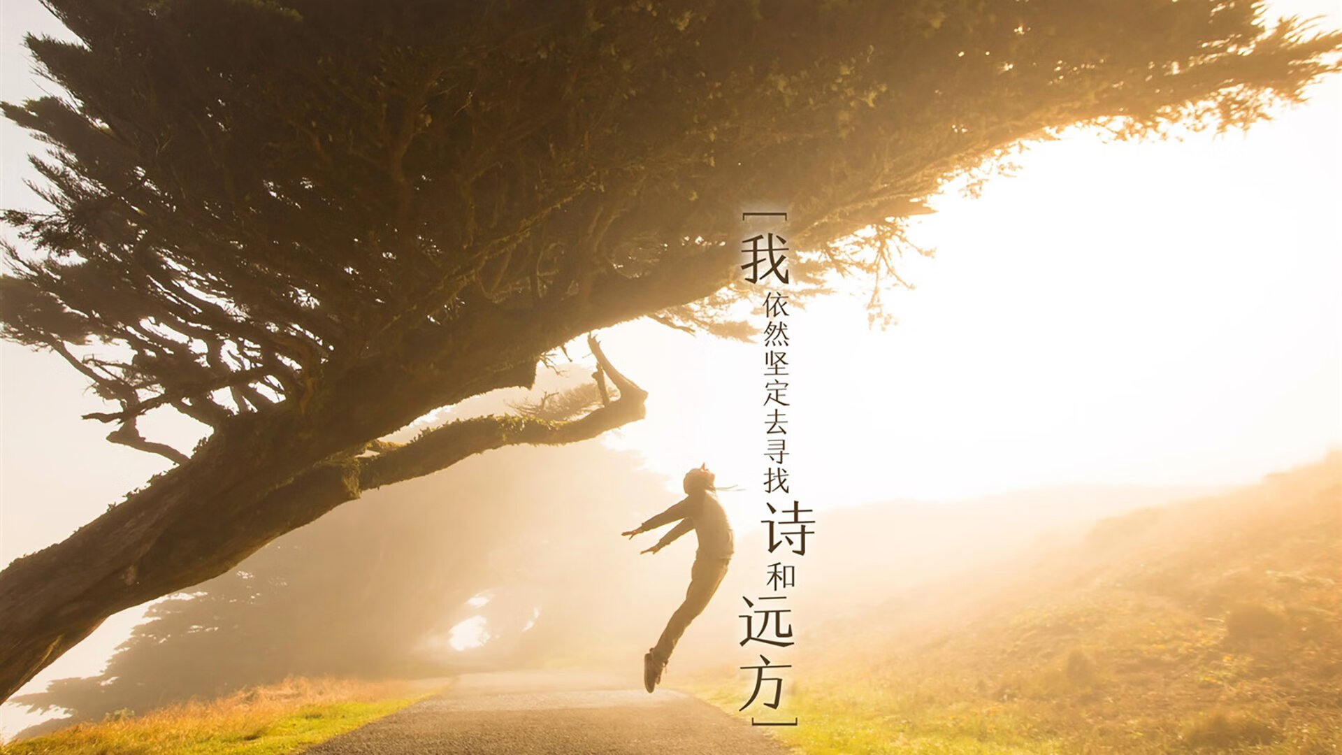 当圣塞巴斯蒂安遇见亚松森，马丁内利一箭穿心，皇家社会破解南美密码