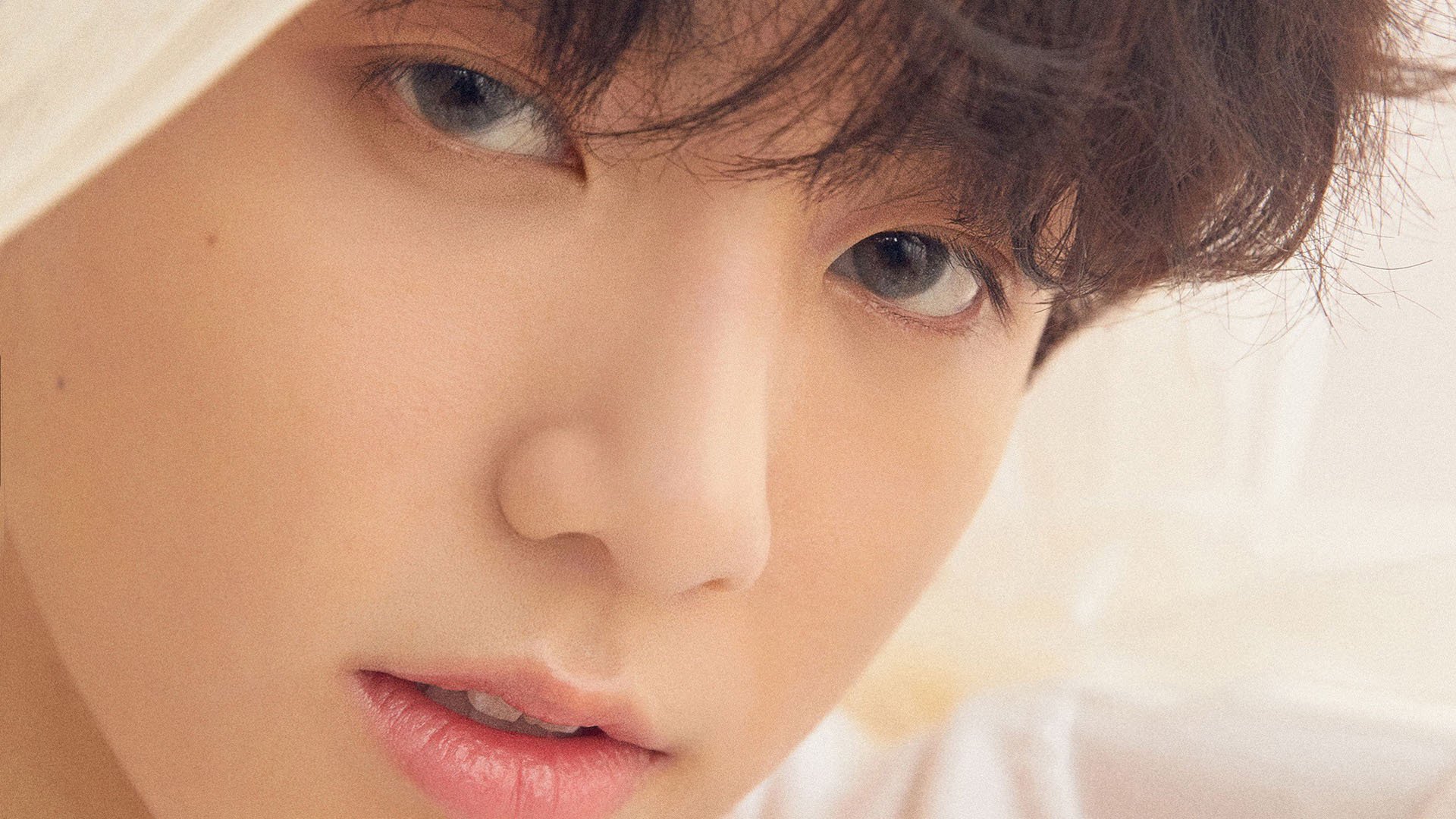 看台联动，从伊朗足球战术看NBA季后赛的智慧回响