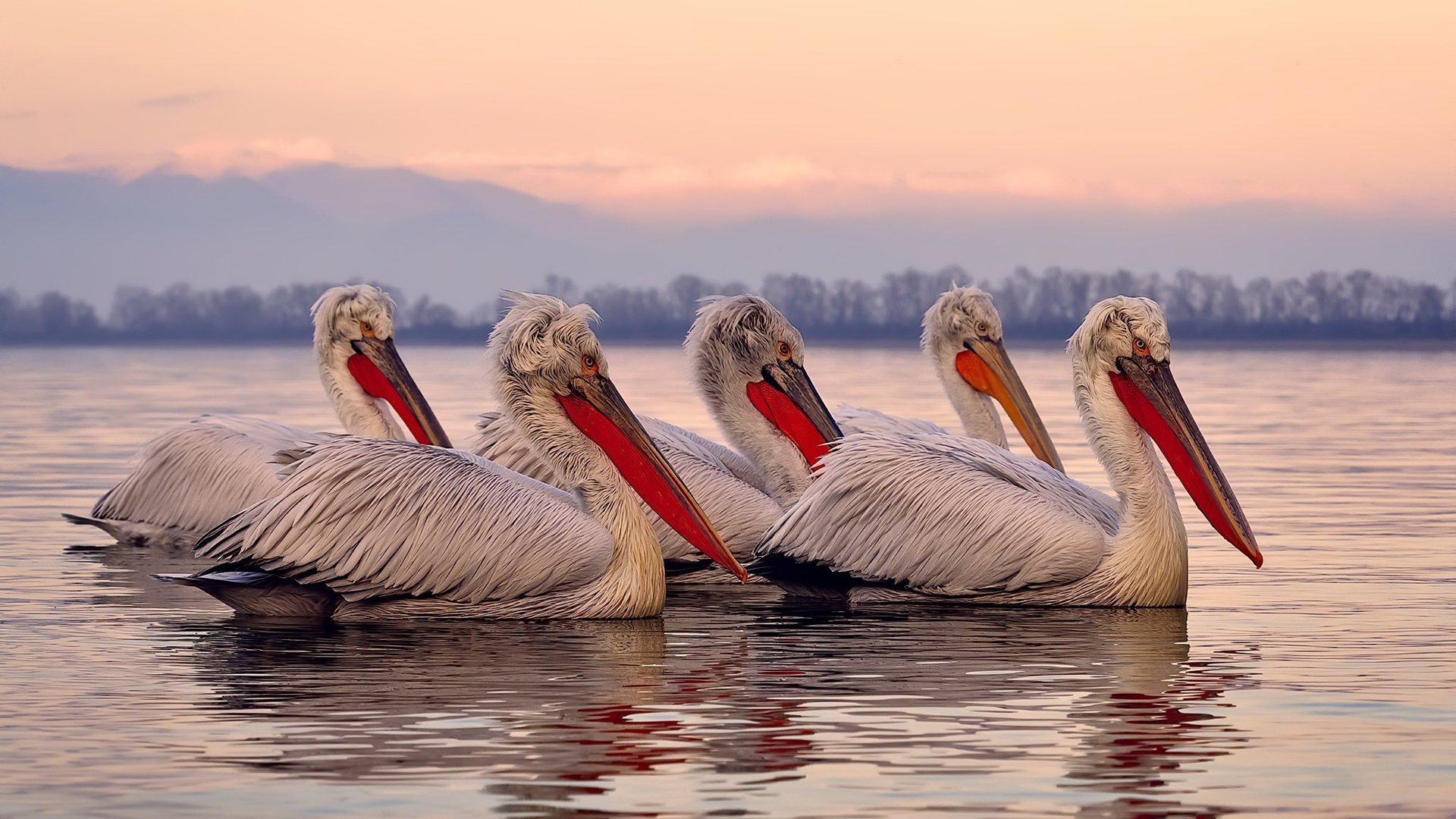 欧冠半决赛之夜，努涅斯用他的方式，解开神鬼命题的唯一钥匙