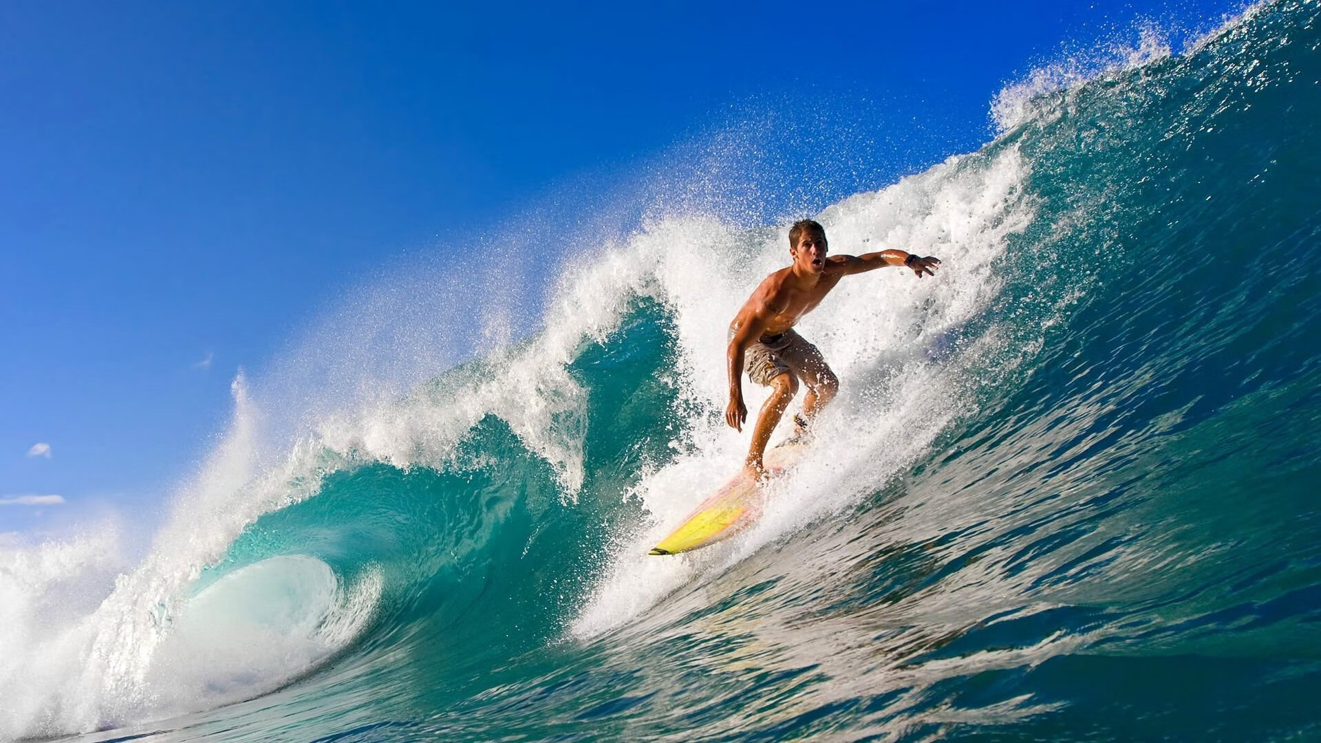 史上最意外的关键先生，不是猛龙球员，却决定了猛龙碾压76人的胜利