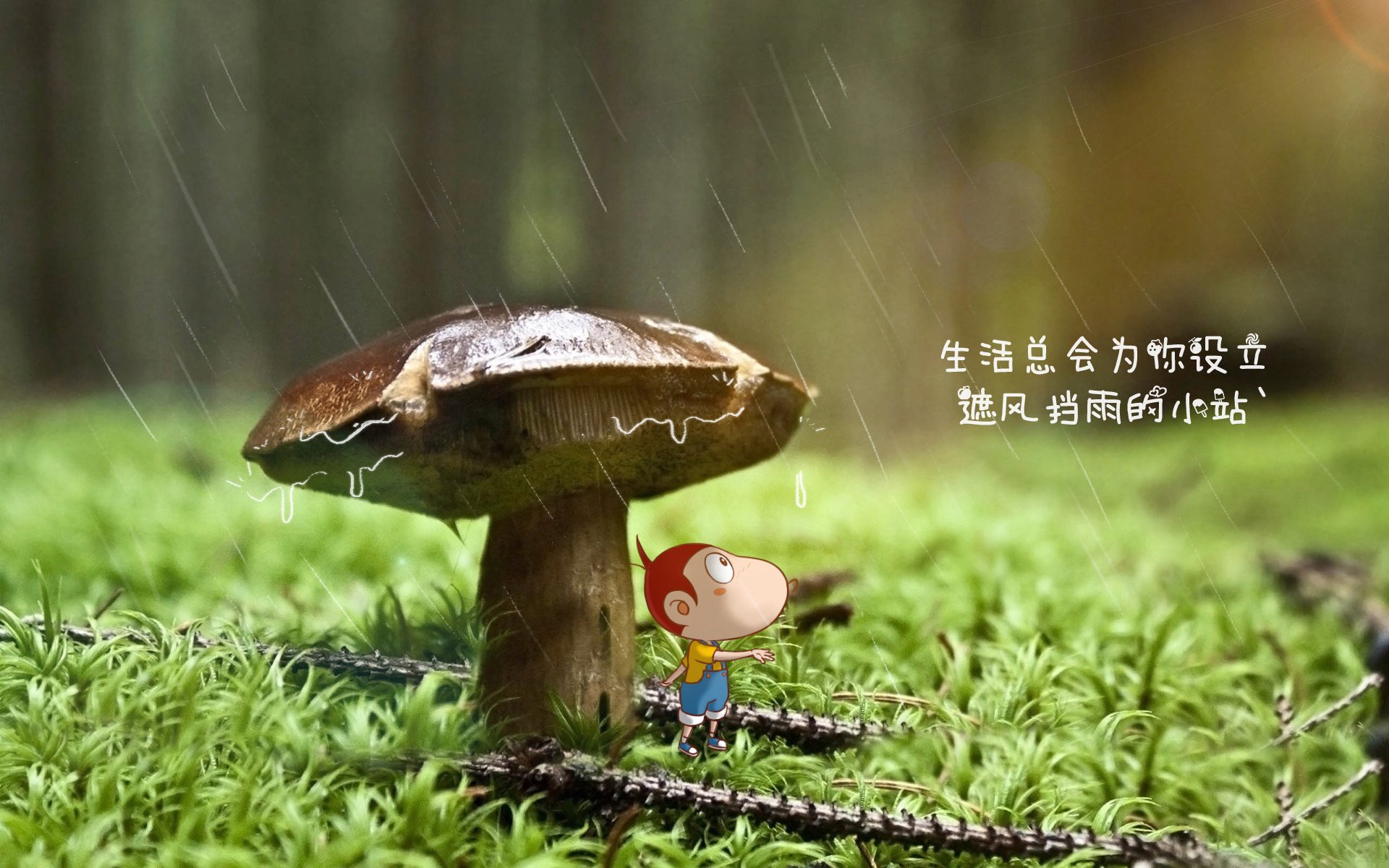 独步魔幻夜，2026世界杯C组关键战，沙特用控球魔术完胜哥伦比亚，德布劳内领航节奏浪潮