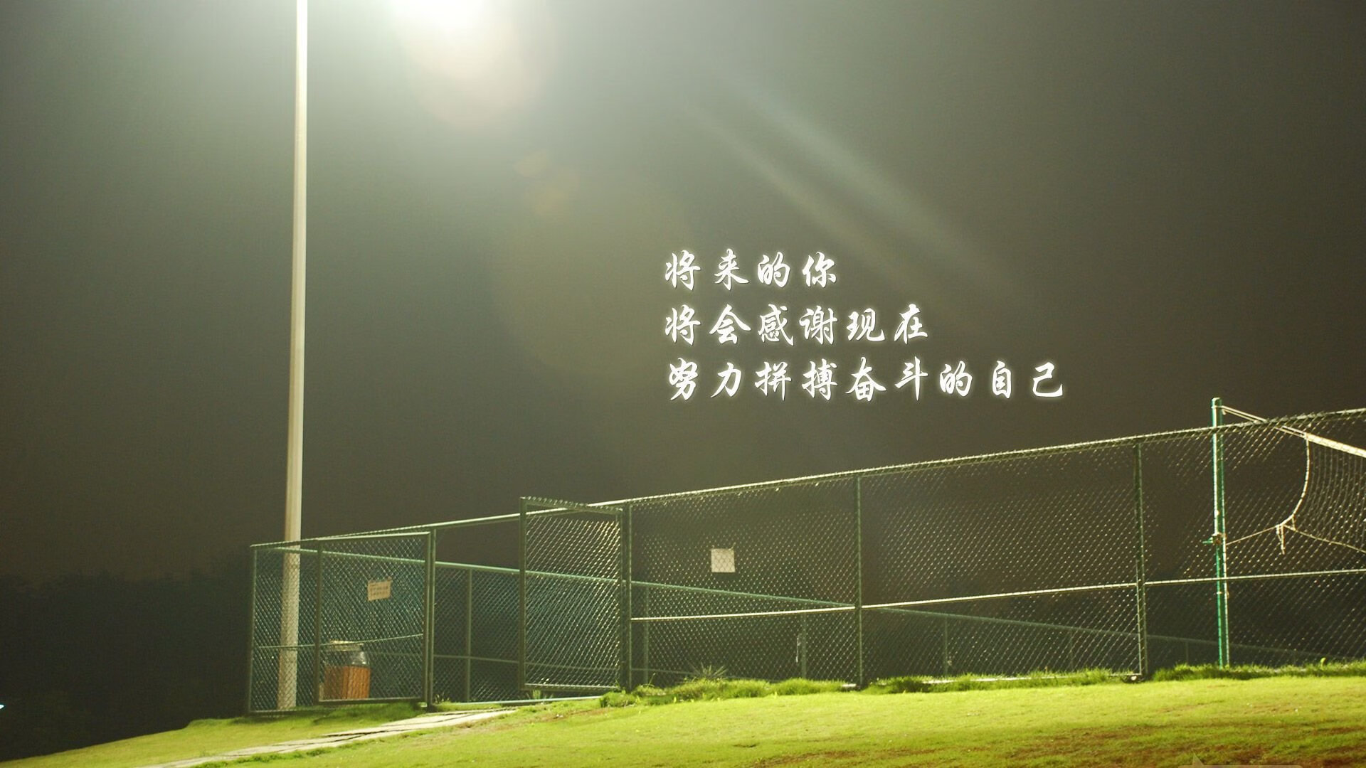 沙漠之狐的独行,齐耶赫与尼日利亚,2026世界杯唯一不可复制的关键战